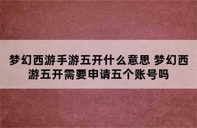 梦幻西游手游五开什么意思 梦幻西游五开需要申请五个账号吗